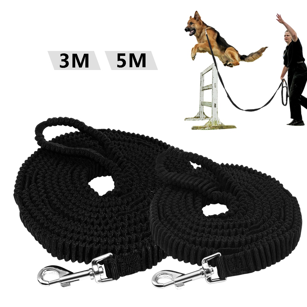 Laisse élastique en Nylon pour animaux de compagnie, longue pour le suivi des chiens, sangle antidérapante, avec poignée, entraînement à la marche, 3m 5m