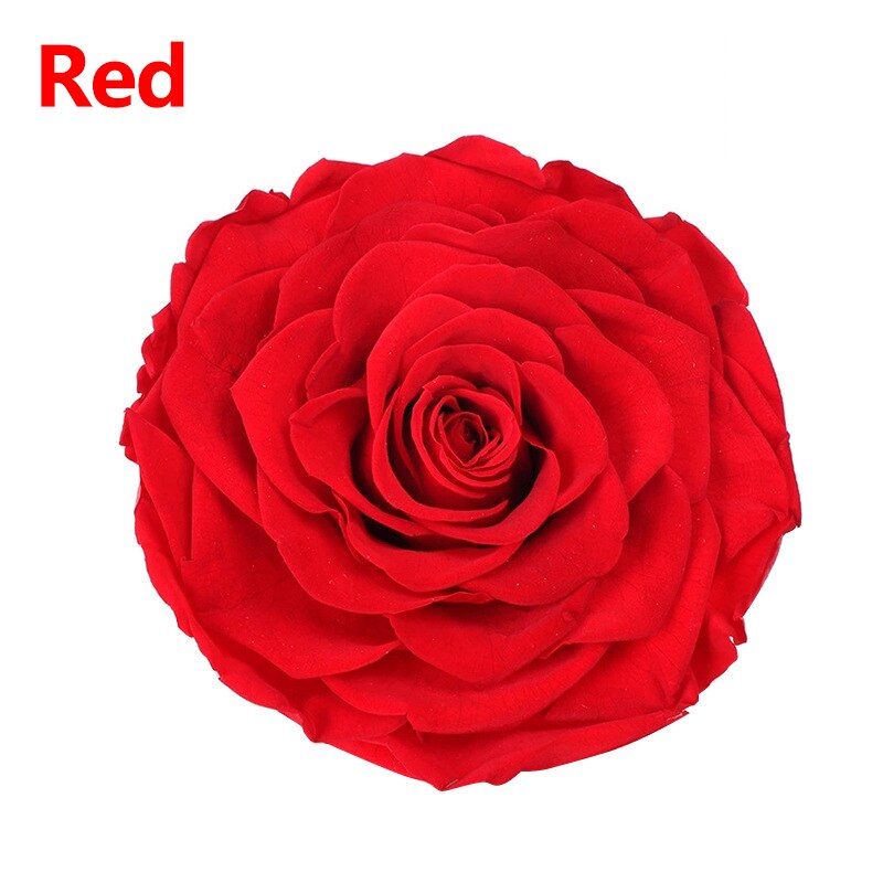 8 Stks/doos Bewaard Rose Bloemen Onsterfelijke Rose 5Cm Diameter Moeders Dag Diy Bruiloft Eeuwige Leven Bloem Materiaal: 9
