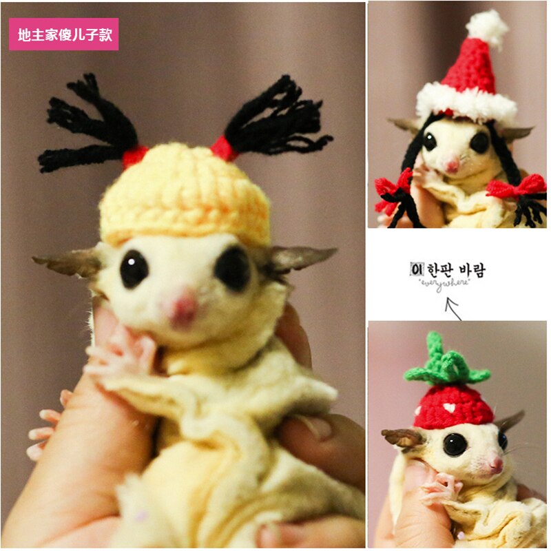 Shrew-sombrero para hámster tejido a mano, mini disfraz de animal bonito, sombrero de dibujos animados, ropa para mascotas