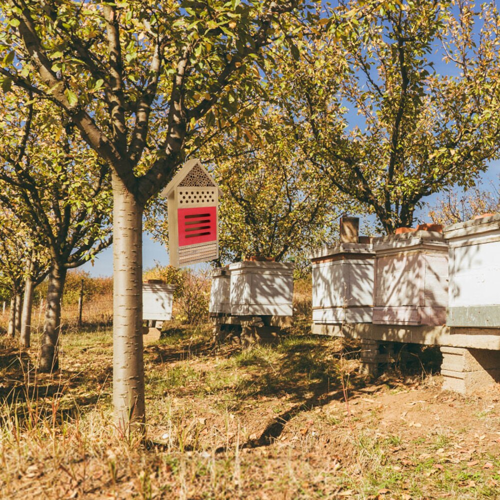 Hotel for Bee Wooden Bee Hive Wooden Insect House Accessories