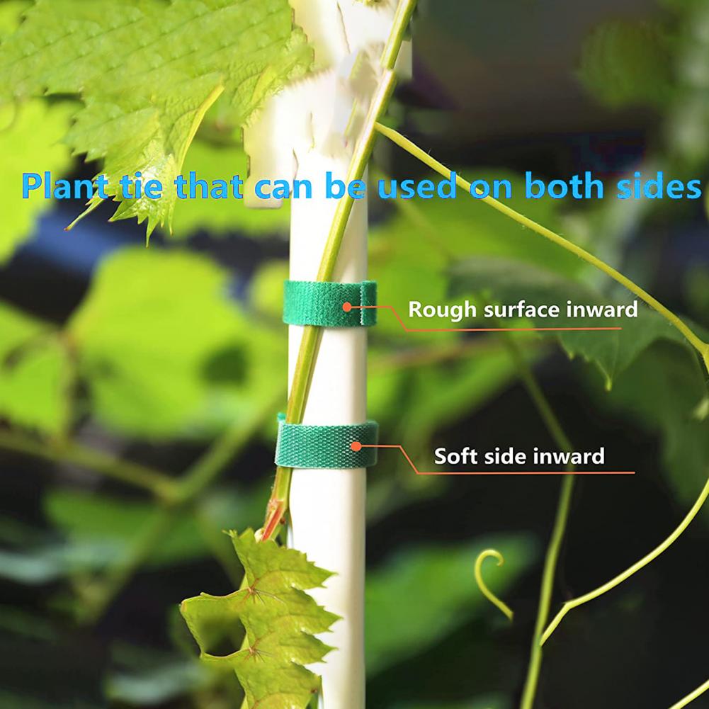 1 Roll Cuttable Ribbon Strap Multi-use Nylon Twist Strap Portable Tie Strap Ribbon Practical Line Organizer for Garden