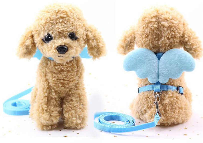Harnais collier de harnais pour chien | Joli harnais et laisse pour animaux domestiques, ensemble pour chiot chat de plein air, pour chien Chihuahua Pug bouledogue: blue Dog Leash / S