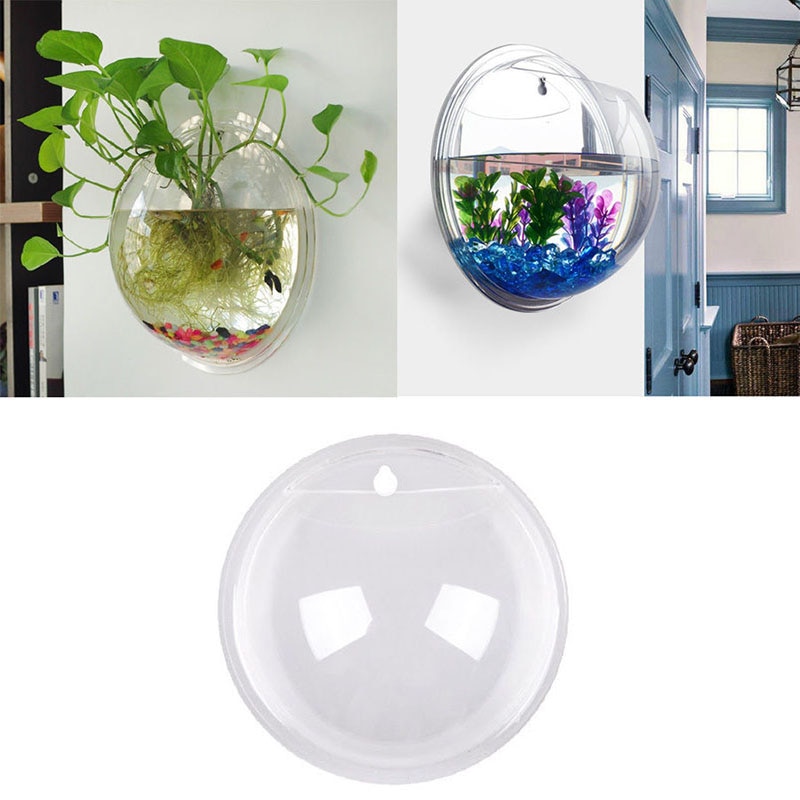 Aquarium mural en acrylique suspendu pour poissons, Vase à plantes, fleurs, Betta, décoration de la maison