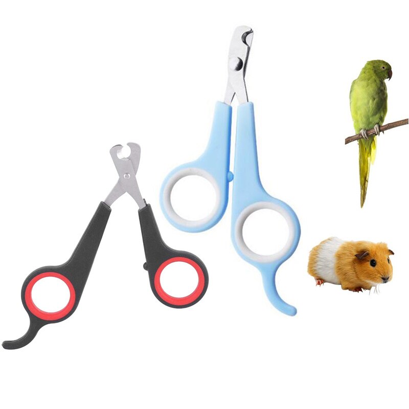 Vogel Nagelknipper Grooming Tool Nail Schaar Clipper Huisdier Vogel Papegaai Kleine Dieren Accessoire Voor Hamsters Konijn