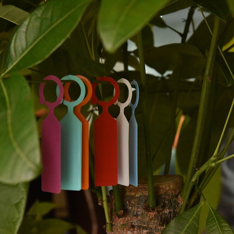50 stuks plastic plantenlabels kwekerij tuin ringlabel potmarker paal hanglabels kas bonsai kraaglabels