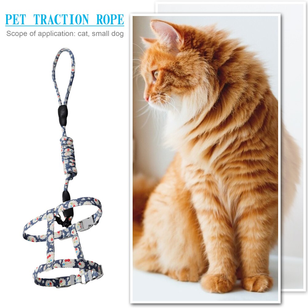 Harnais pour chat, laisse, ceinture, collier, sangle en forme de I, corde de guidage pour chiot, chaton, chiot, marche en plein air