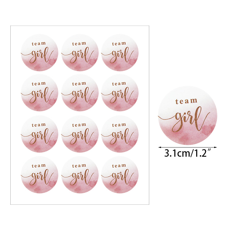 120pcs Team Boy Team Girl Stickers Boy or Girl Vote Sticker for Gender Reveal Party Decoration Baby Shower Packaging Seal Labels: Z11