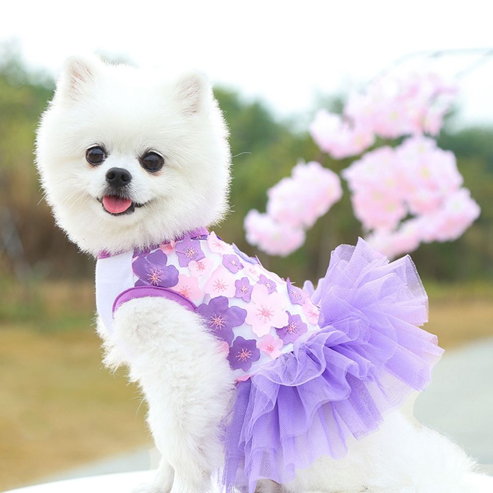 Fournitures de fête d'été pour petit chien, d'anniversaire, fleurs, Teddy Bichon, Costume pour chien, vêtements pour chiot, jupes pour chien