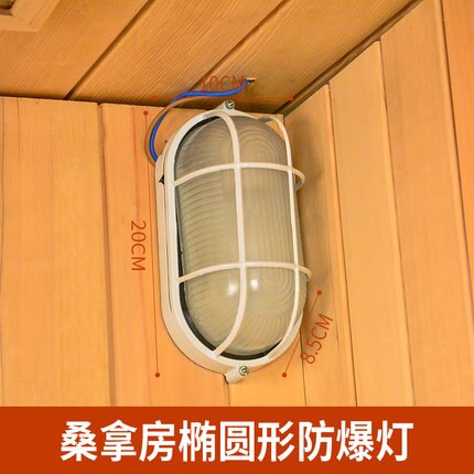 Premium Classic Grid Bulkhead Wall/Trans Globe Light/Ceiling,Suitable For Outdoor/Sauna Room/Storehouse Use - Oval - 8 inches
