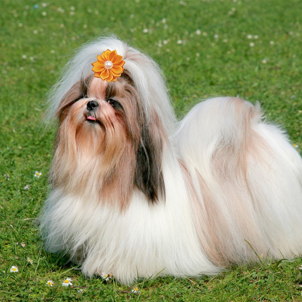 Flower Dog Hair Bows Long Hair Pet Dogs Bows Rubber Band Cat Puppy Hair Clips Pet Grooming Bow Dog Accessories Perros