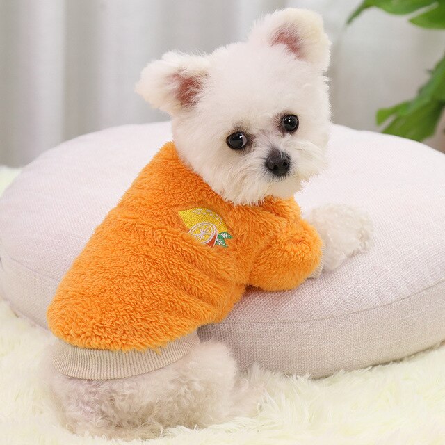 Avocado Houdt Warm In Herfst En Winter Twee-Legged Hond Dierbenodigdheden Kat Kleding Kleine, medium En Grote Honden Teddy Kleding Stolsel: Orange / Xxl
