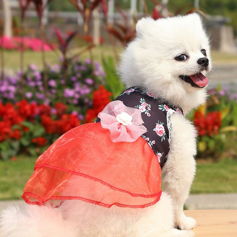 Falda Floral de verano para perro, ropa para perro pequeño, de cumpleaños, vestido de boda, disfraz de cachorro, ropa para mascota de primavera