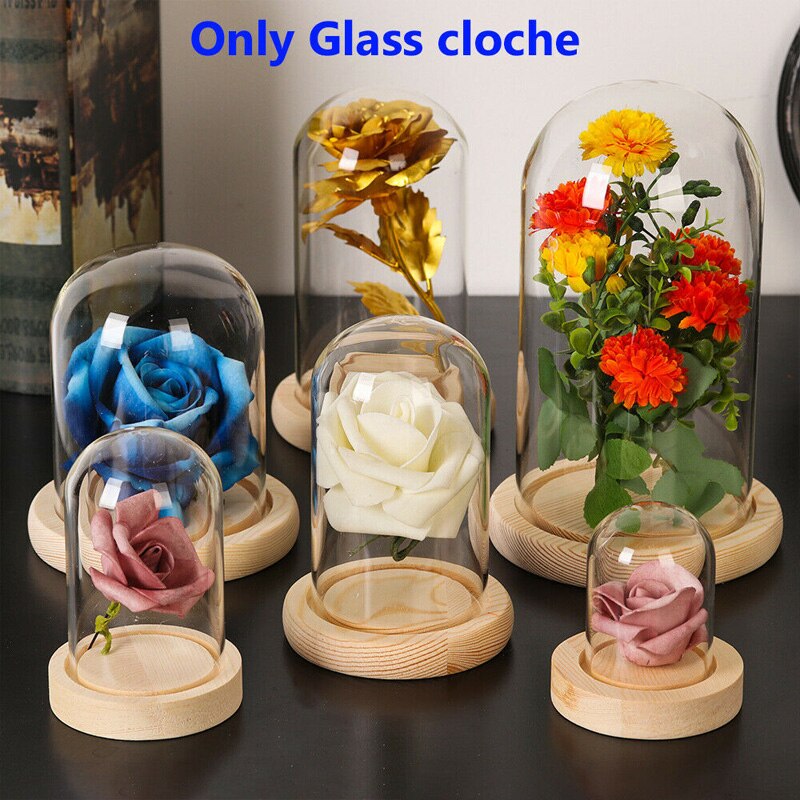 Klart glass display cloche bjelle ornamenter blomsterkrukke glassflaske med trebunn støvdeksel utstillingsboks udødelig blomsterkasse