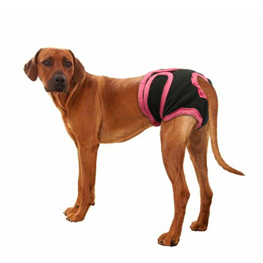Pantalon physiologique pour chien, couche hygiénique lavable, sous-vêtements pour petits, moyens et grands chiots, pantalons pour chats: black / L