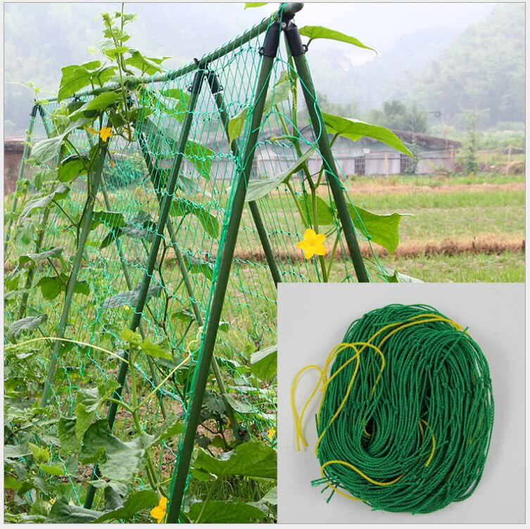 Vedbend klatrestativ hjem havearbejde net frugtplanter hegn plast nylon net 1.8*1.8m/2.7m/3.6m mesh net 10cm gitter