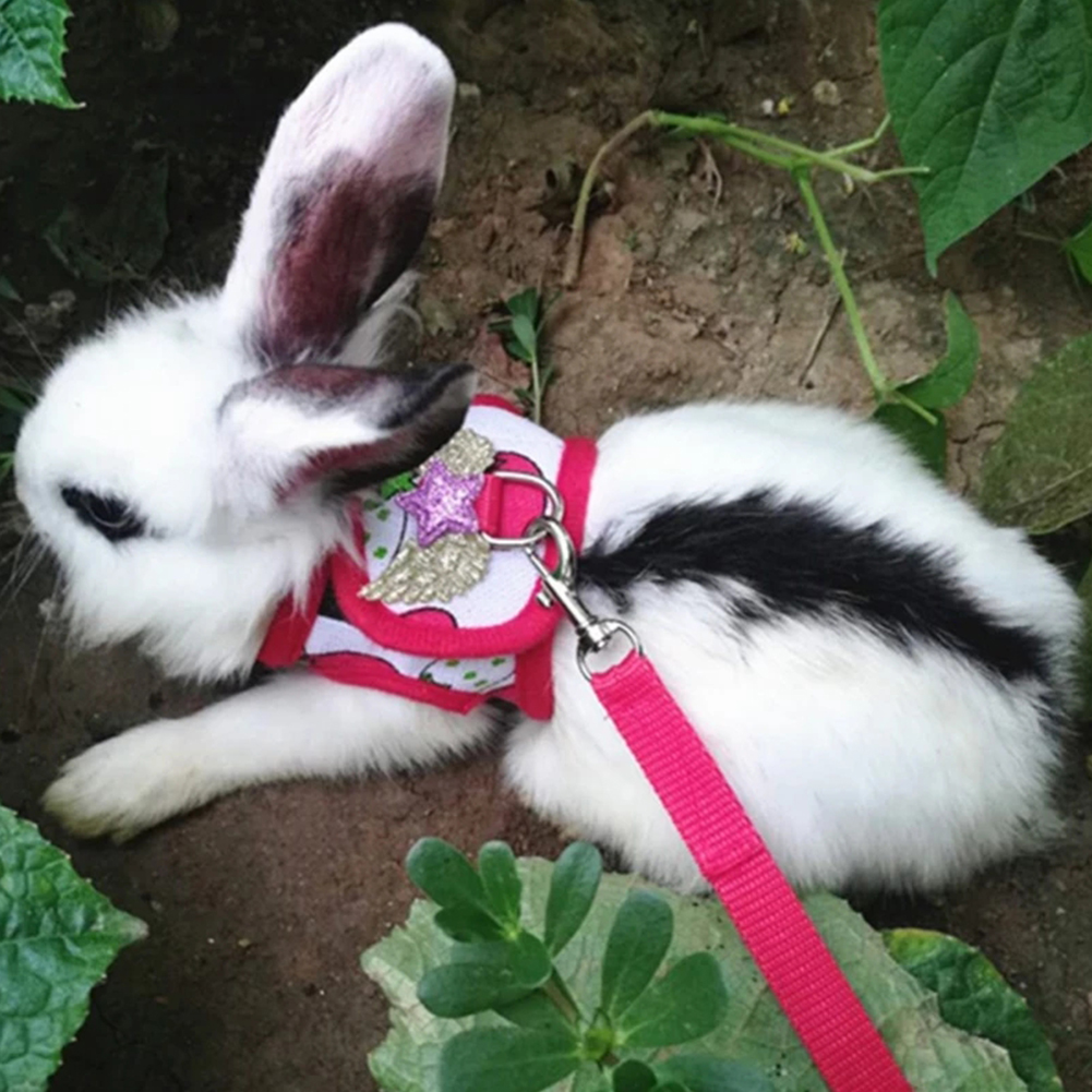 Arnés para hámster, correa ajustable para conejillo de indias, Chinchilla, ratones, Hurón, cuerda de tracción al aire libre, accesorios para animales pequeños