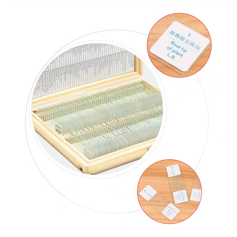 100Pcs/Set Prepared Microscope Glass Slides Sample Science Biological Specimen Education Cover Slips Portable Wood Storage Box