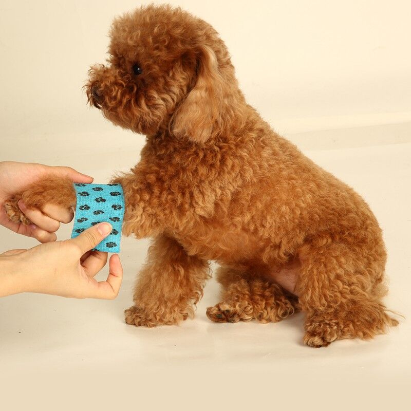 Bandage d'emballage pour animaux de compagnie, respirant, auto-adhésif, élastique, animal de compagnie, chien, chat