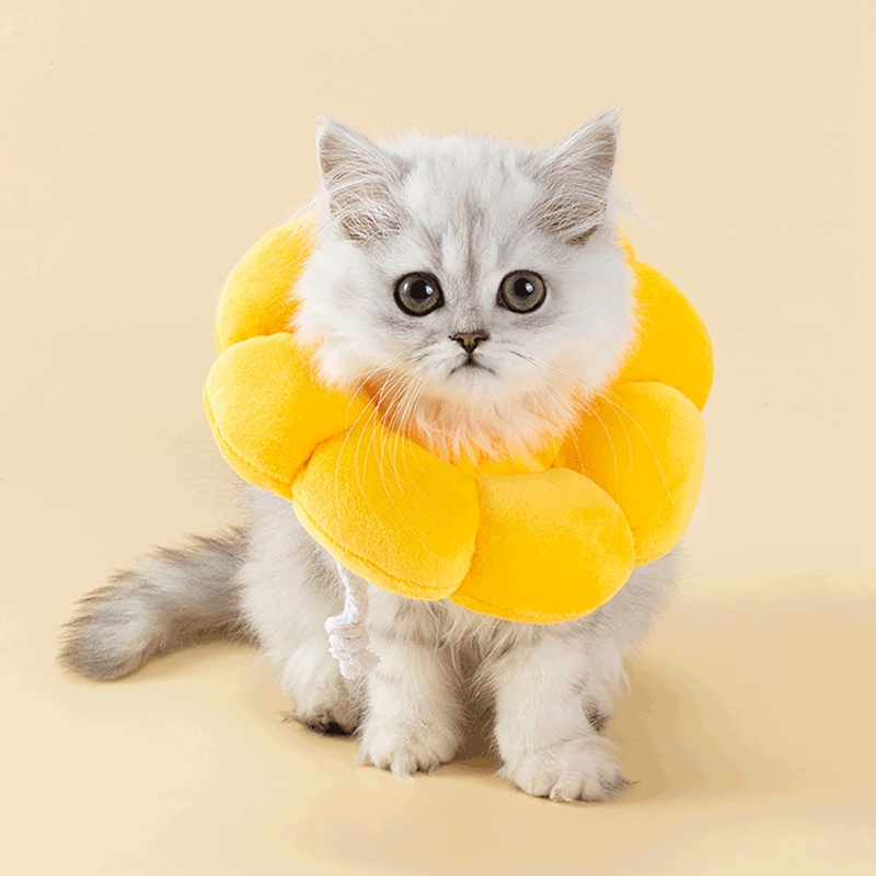 Huisdier Beschermende Kraag Voorkomt Krassen En Likken Verstelbare Pet Herstel Kraag Niet Blok Vision Kraag: WHITE