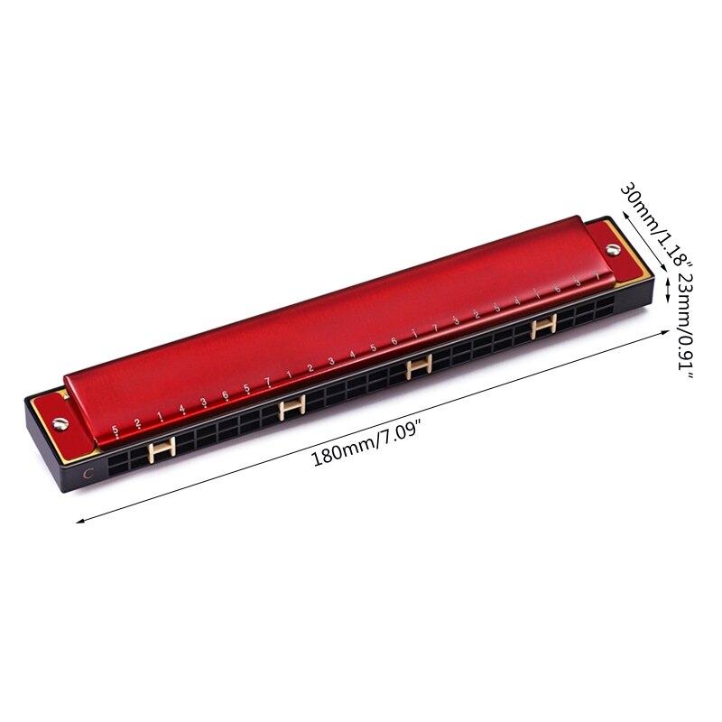 Harmonica à 24 trous, Harmonica diatonique Double trémolo pour adultes, pour enseignant en musique, étudiant