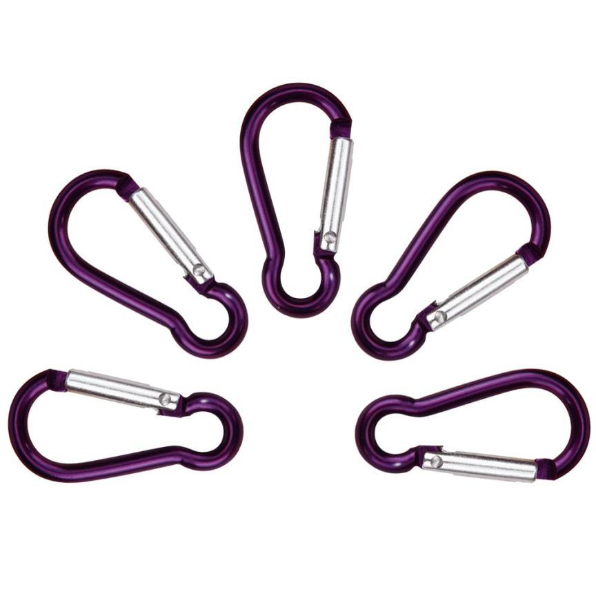 Outdoor Klimmen Quickdraws 5 Stuks Aluminium D Karabijnhaak Sleutelhangers Spring Snap Clip Haken Sleutelhanger Karabijnhaken APrr21 # E20: Paars