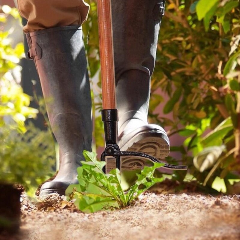 Garden Weeder Durable Root Removal Tool Chemical Free Weeding with Handle Protect the Spine Useful Garden Tools