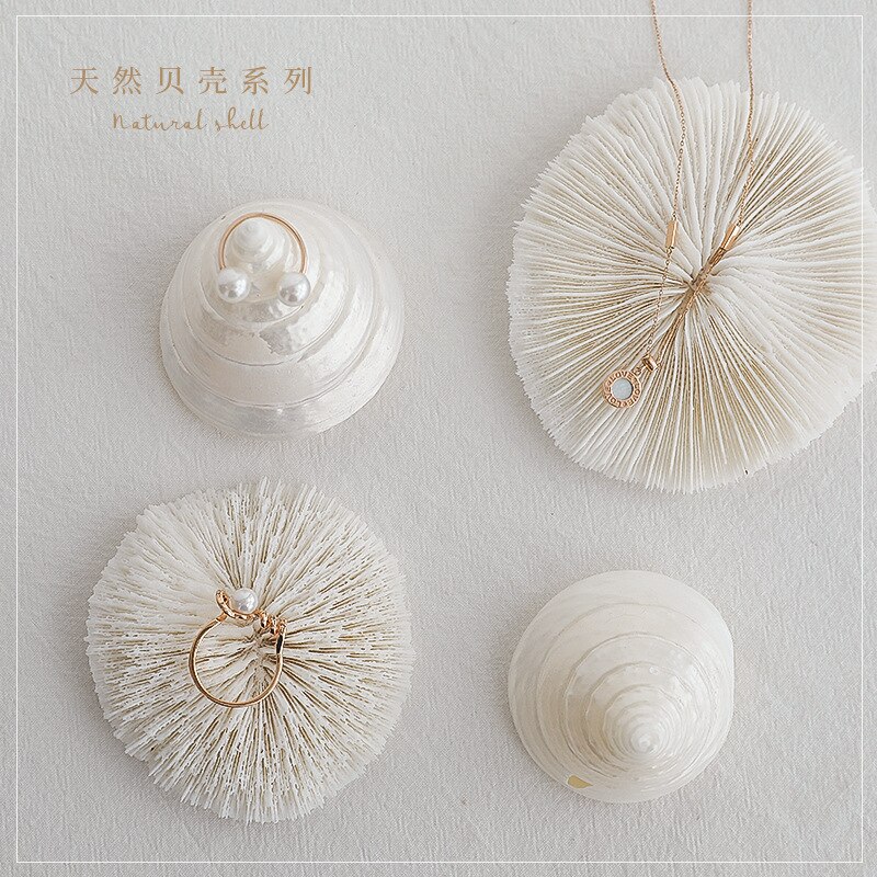 Shell decoration photography accessories photography Retro Props Birthday Party decorations props