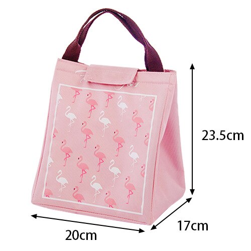 Portable Insulated Lunch Box Portable Cooler Lunch Bag Dinner Container School Food Storage Picnic Trip Cartoon Kids Women: D1  23.5X17X20CM