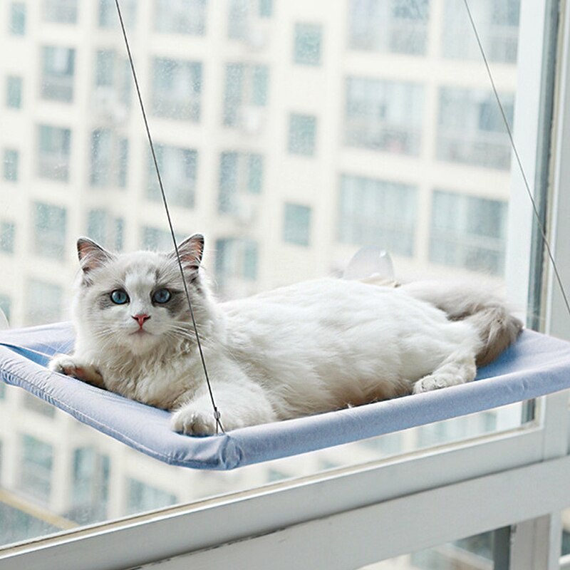 Gato hamaca cama montaje ventana cómodo mono de invierno cálido hamaca para gatitos mascotas pequeñas balda para cama asiento camas de 20kg: Blue