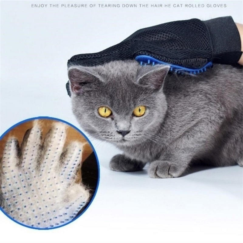 Gants pour chat, brosse pour animaux de compagnie, gant de toilettage pour chat, bain pour chien, fournitures de nettoyage pour chat, produits pour chiens et chats