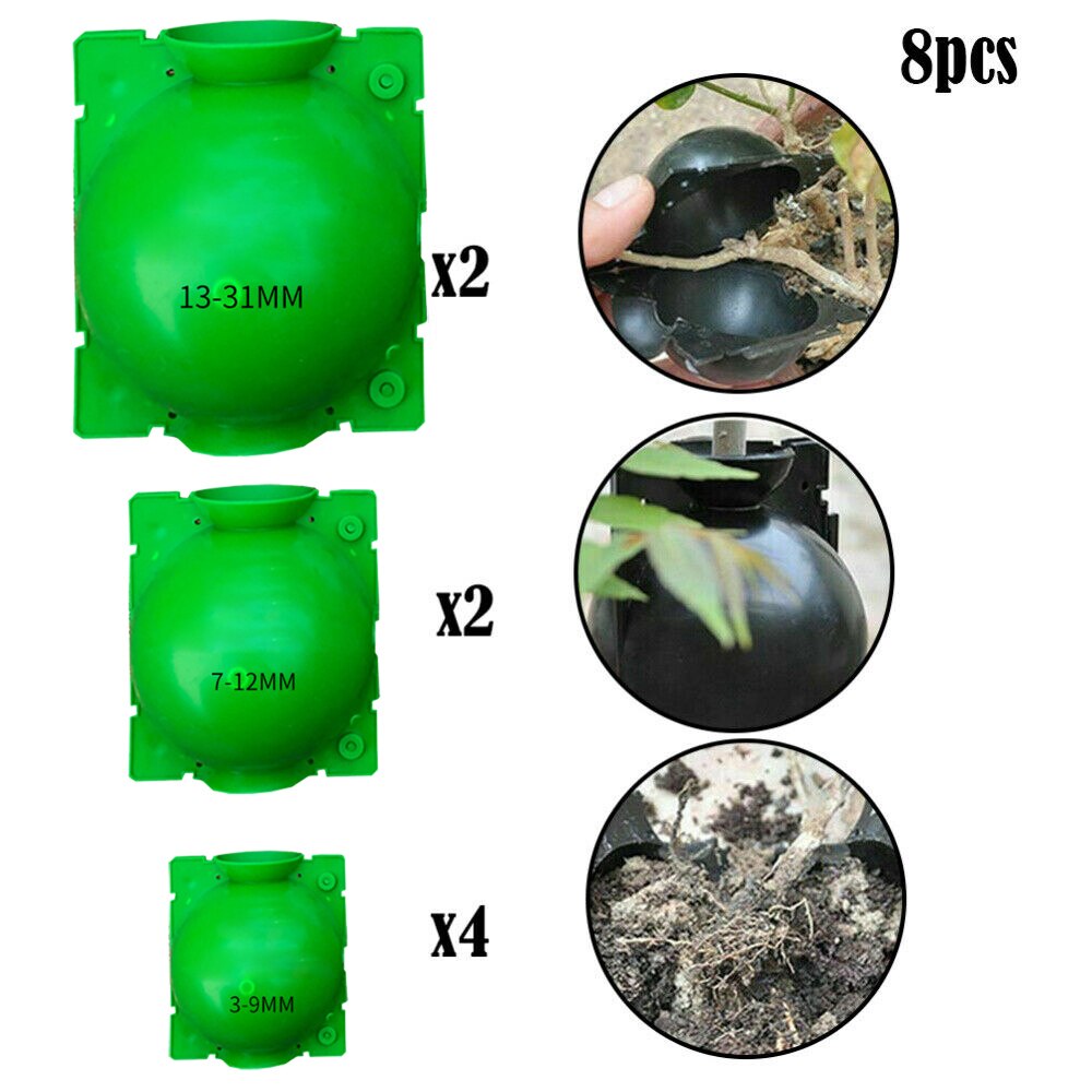8PCS Plant Root Box Pressure Box Growing Device Ba... – Grandado