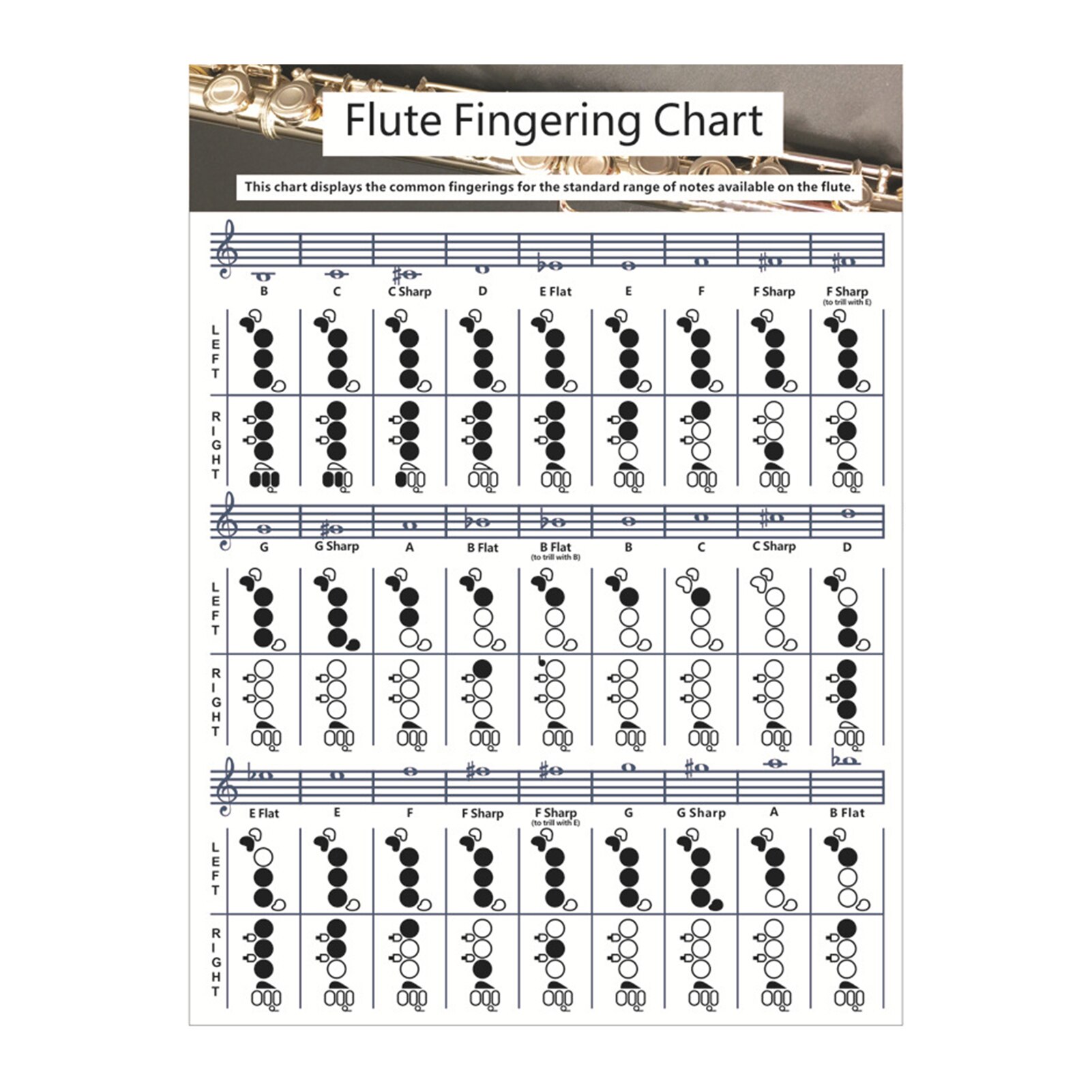 Durable Parts Portable Chord Chart For Flute Smooth Key Tones Standard Notes Easy Understand Beginner Student Fingering Practice