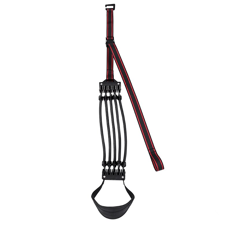 MAX 300LB Pull Up Assist Band System Adjustable Chin Up Resistance Band Improve Arm Shoulder Chest Abdomen Strength Elastic Rope: A