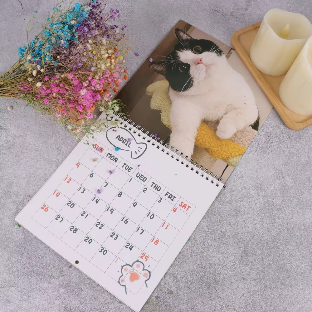 Søt kattekalender, månedlig og daglig planlegger med en bedårende kattunge med froskeøyne, perfekt juleår