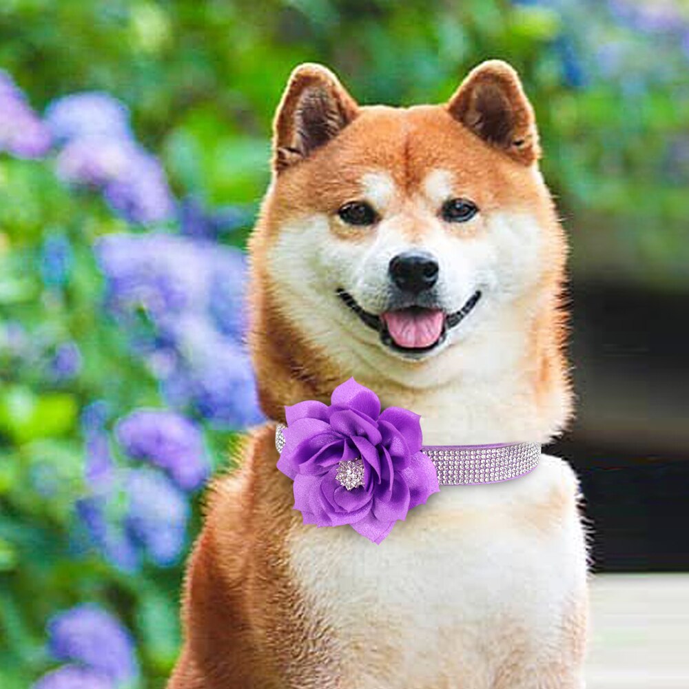 Bling Strass Halsband Met Bloem Accessoire Zachte Suède Kat Puppy Halsbanden Ketting Voor Small Medium Honden Katten