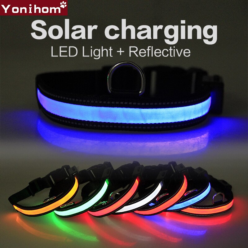 Hondenhalsband van nylon, lichtgevende zonne-led-hondenlamp, nachtveiligheid, gloeiend, knipperend led-hondenhalsband, oplaadbare led-hondenhalsband