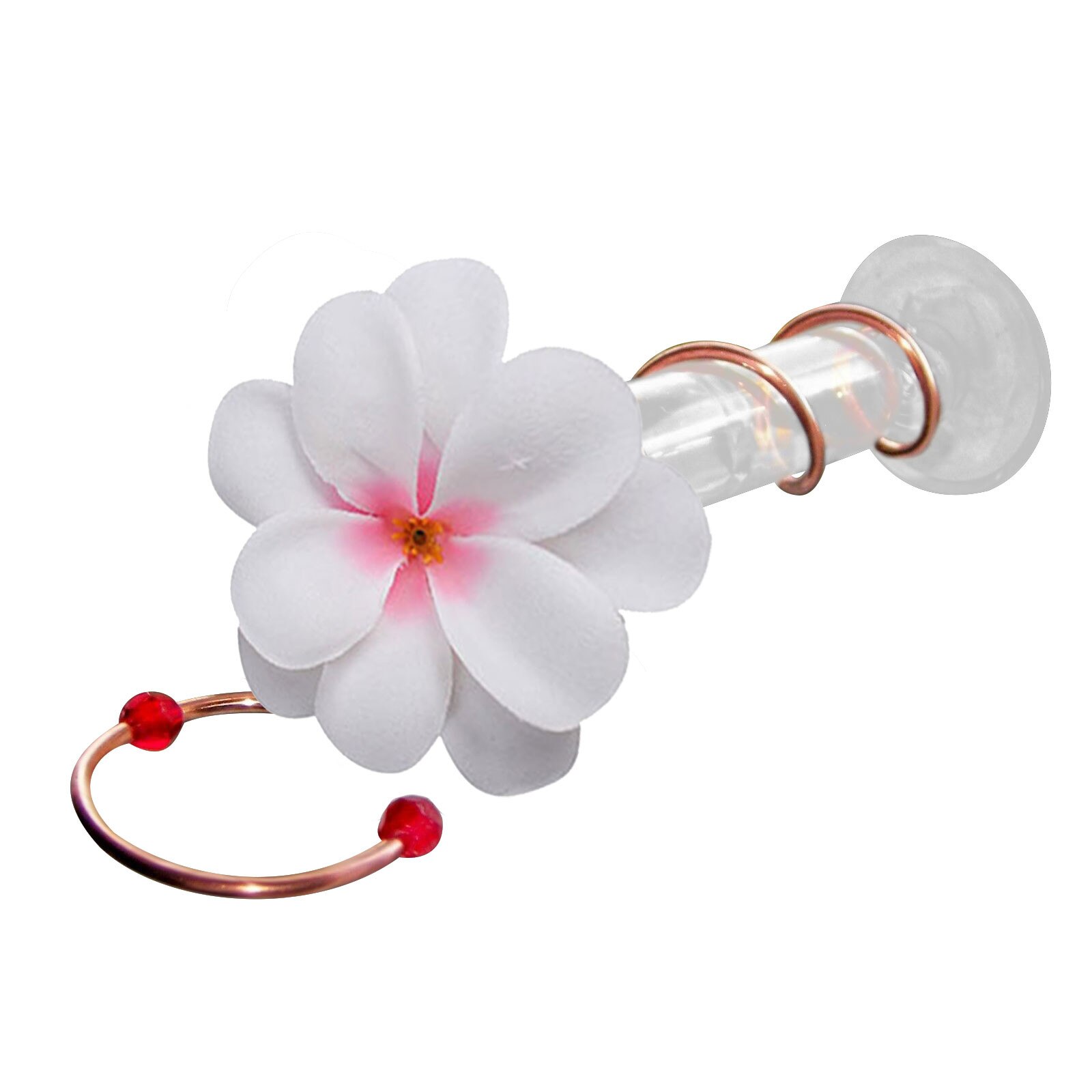 Courtyard Bird Feeder Red Berries Humming Bird Feeder 3 Feeding Bottles Berries Humming Bird Feed Seed Accessories: E