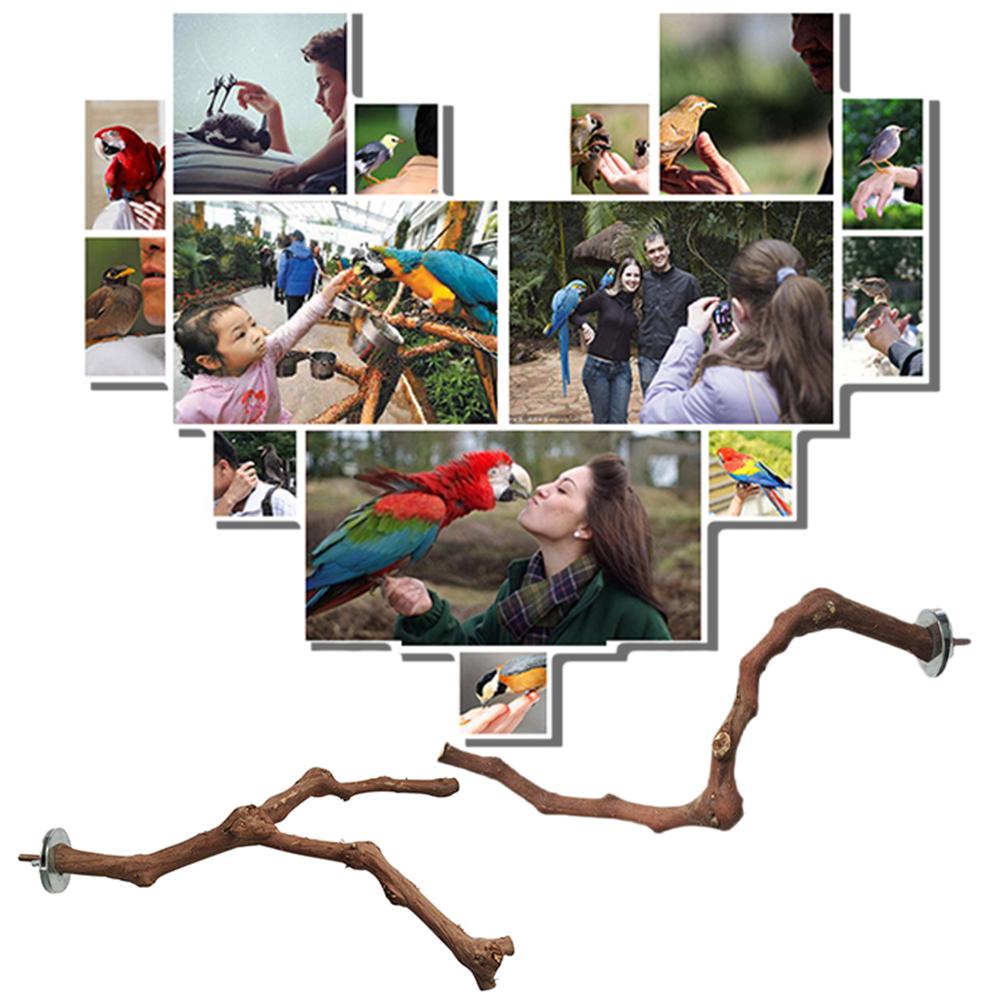 neue Arrivials 1Pc Haustier Papagei Trauben Holz Gabel Baum Zweig Stehen Gestell Spielzeug Hamster Zweig Sitzstangen Für Vogel käFeige