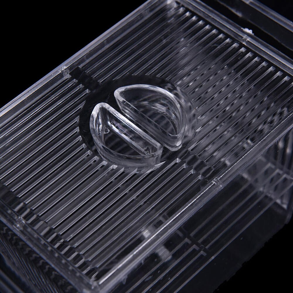 Acrylic Fish Tank Breeding Isolation Box Aquarium Fish Breeding Incubator Net Rearing Trap Box Aquarium Accessory