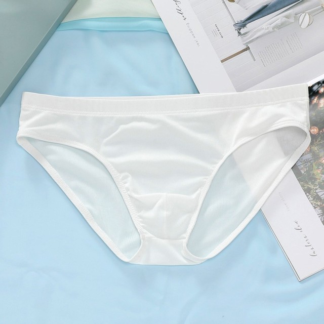 Summer Men&#39;s Ice Silk Panties Ultra-thin Silky Breathable Translucent Low Waist Briefs Comfortable Cool Underwear Male: White / L