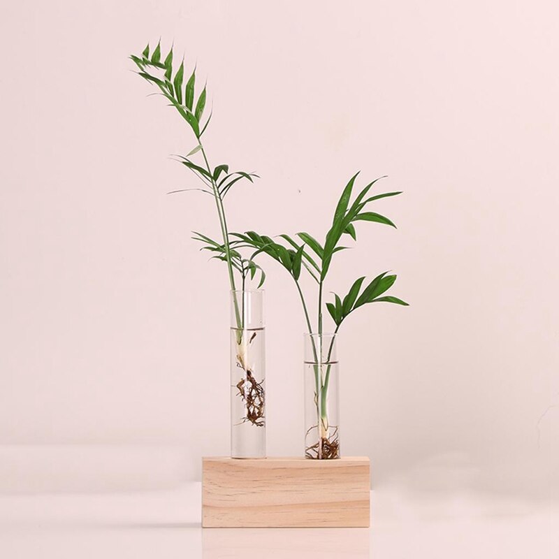 Kristallglas provrör vas blommor växter hydroponisk plantera+ träställ dekorerad med en blomma heminredning