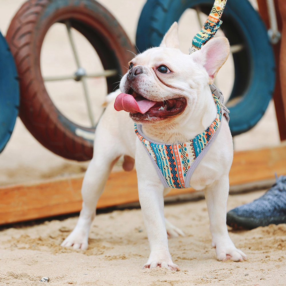 Reflecterende Kleine Hond Harnas Vest En Leash Set Nylon Mesh Honden Kat Harnas Leiband Voor Chihuahua Puppy Pet Product Verstelbare