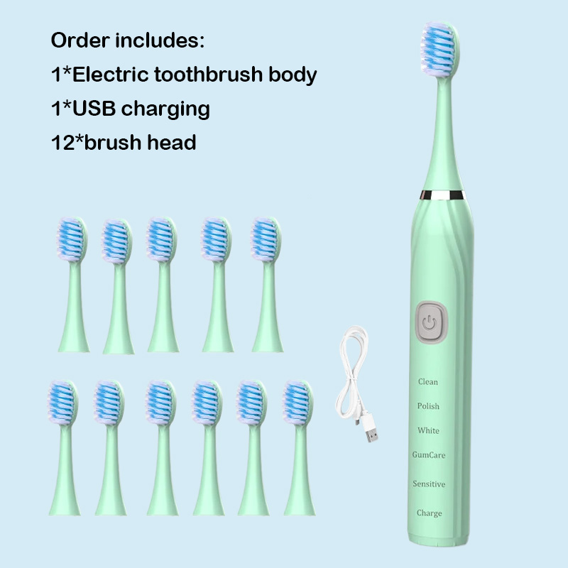 Cepillo de dientes eléctrico, vibrador ultrasónico, blanqueamiento dental, carga rápida por USB, cepillo de dientes sónico recargable, resistente al agua IPX7: TRANSPARENT