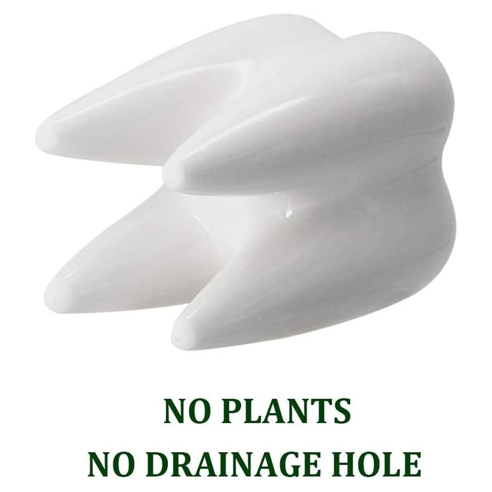 1 sztuk w kształcie zęba blać ceramiczna doniczka elementy wyposażenia domu śliczne sukulent/kaktus kwiat roślina doniczkowa przedszkole umywalka wazon stołowy