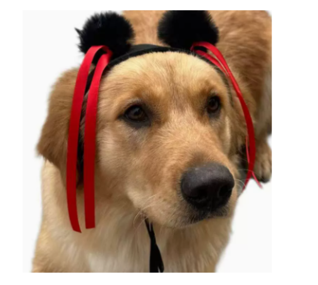 NONOR-pelucas para mascotas, accesorios de Cosplay para perros y gatos divertidos, sombrero de pelo de peluquería cruzada, disfraces, accesorios para la cabeza para Halloowen, suministros de Navidad: Negro