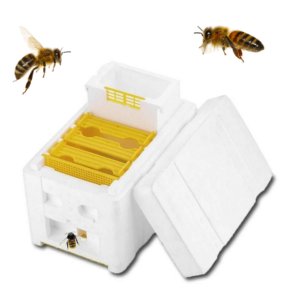 Harvest Bee Hive Box Beekeeping King Pollination Box Beekeeping Tool For Garden Pollination Box King Reserve Beekeeping Tool