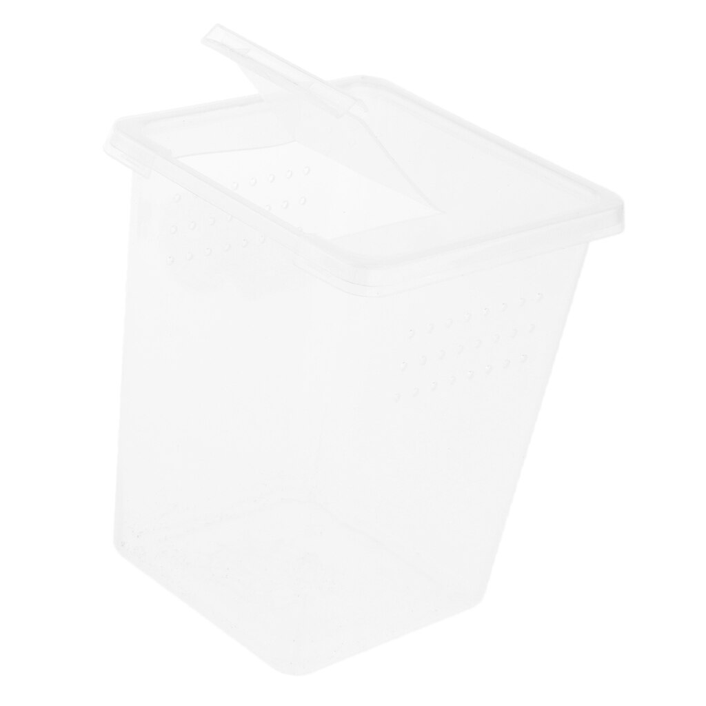 Plastic Insect Turtle Spider Habitat Feeding Box Container 8x8x11cm