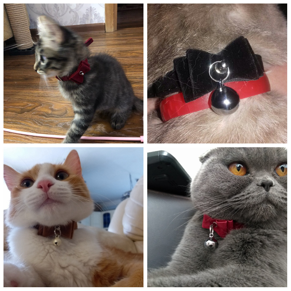 Cat Collars Breakwaay Bells Pet Collar for Cats Small Dog Collars Kitten Pets Supplies Dog-collar Leash Cat Necklace PQ004