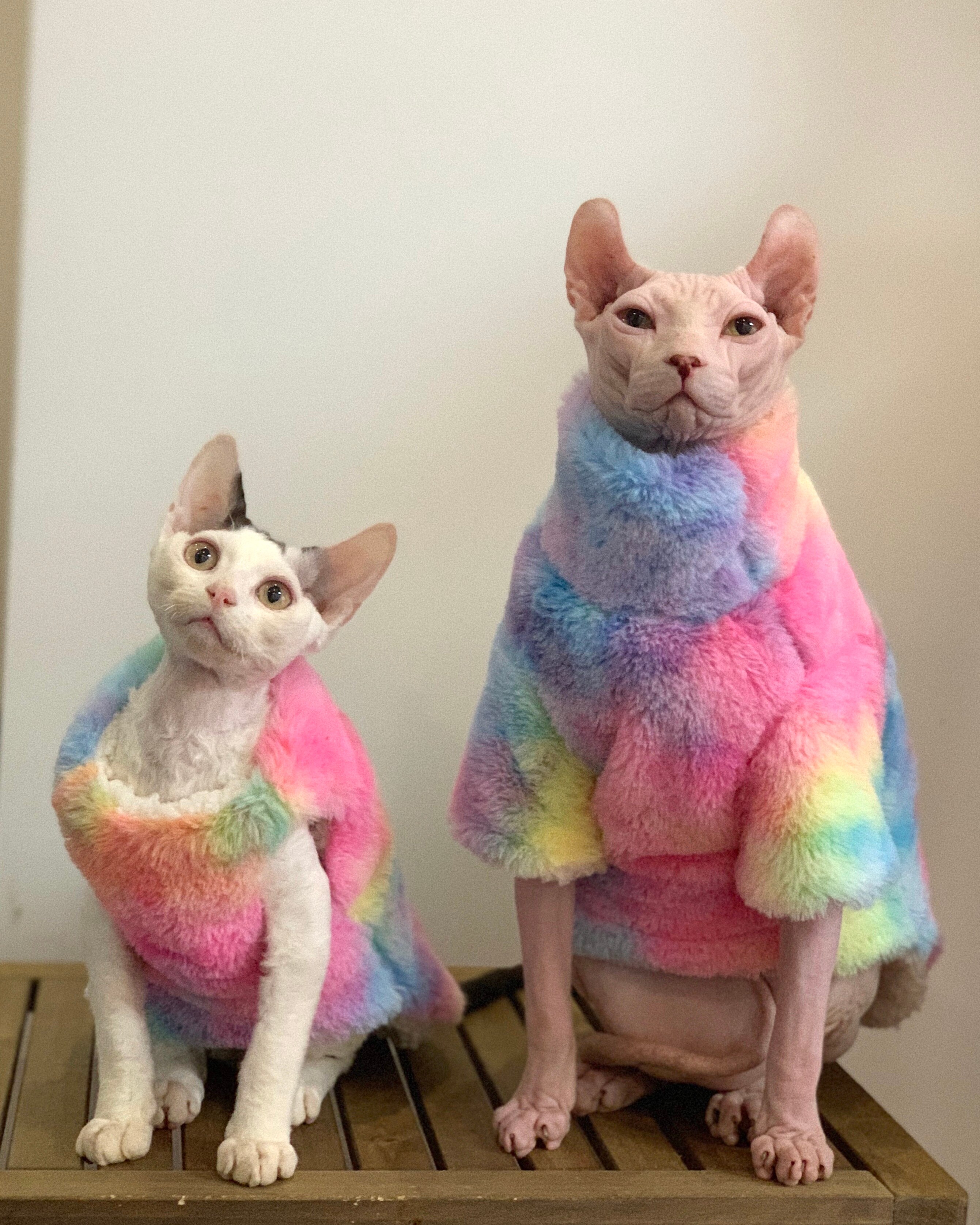 Sphinx Devon Kurze Füße Haarlosen Katze Kleidung Kleidung Winter Verdickung Warme Pelz Regenbogen Dicken Mantel Plüsch