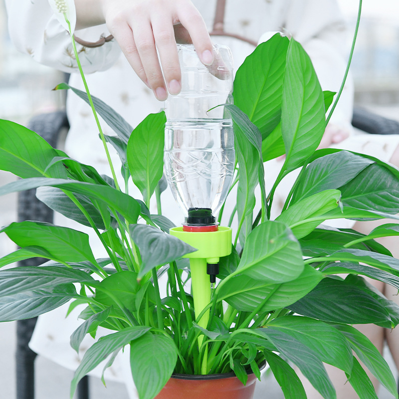 Planta de interior, riego automático en maceta, dispositivo de riego perezoso, dispositivo de agua para plantas, sistema de riego automático con picos